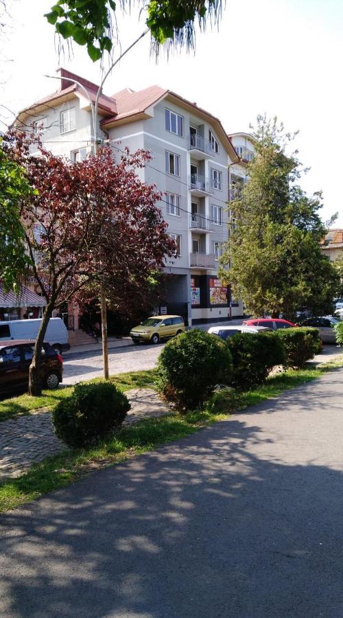 Apartments Domovik Просторная Квартира С Видом На Горы Mukachevo Exterior foto