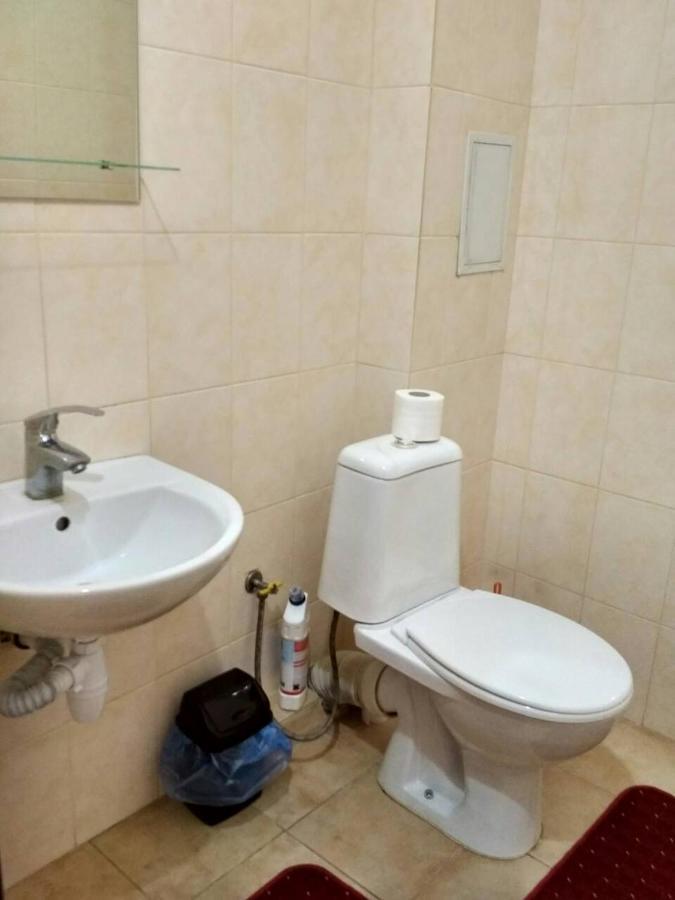 Apartments Domovik Просторная Квартира С Видом На Горы Mukachevo Exterior foto