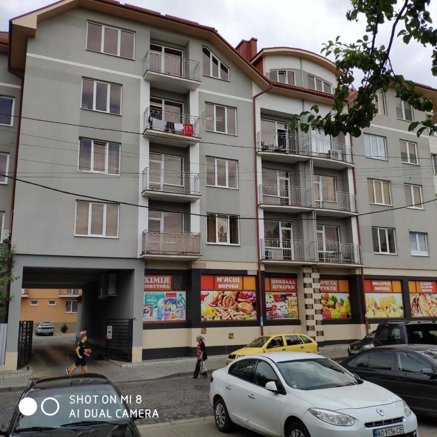 Apartments Domovik Просторная Квартира С Видом На Горы Mukachevo Exterior foto
